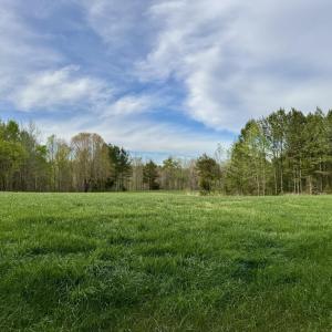 Hwy 86 - 30 ac - lush grass