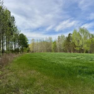 Hwy 86 - 30 ac - north side pasture
