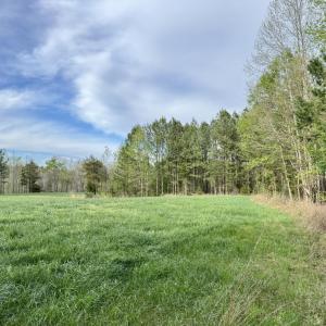 Hwy 86 - 30 ac - pasture edge