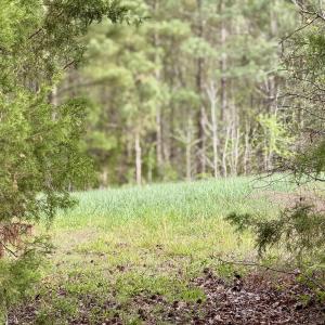 Hwy 86 - 30 ac - portal