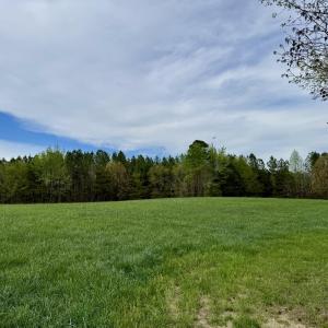 Hwy 86 - 30 ac - private homesite