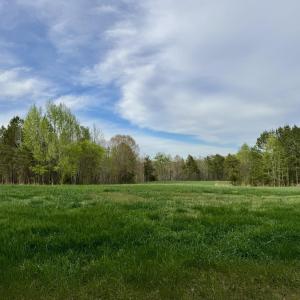 Hwy 86 - 30 ac - swoosh