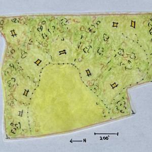 Draft Site Plan