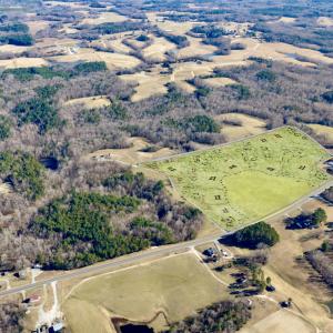 12301 Hwy 86 - 30 ac