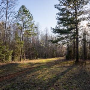 Granville NC 183 Premium _Pro Photo-44