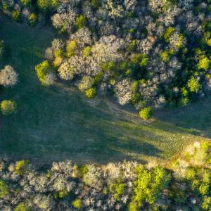 Granville NC 183 Premium _Pro Photo-70