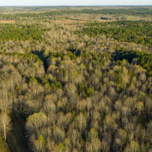 Granville NC 183 Premium _Pro Photo-83