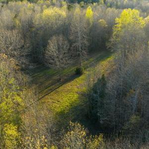 Granville NC 183 Premium _Pro Photo-78