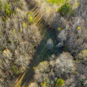 Granville NC 183 Premium _Pro Photo-59