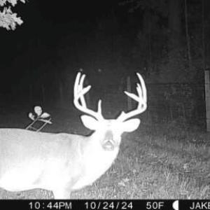 24102511264100000397