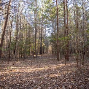 Granville NC 183 Premium _Pro Photo-34