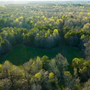 Granville NC 183 Premium _Pro Photo-68