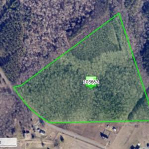 Bethel South Fork Road