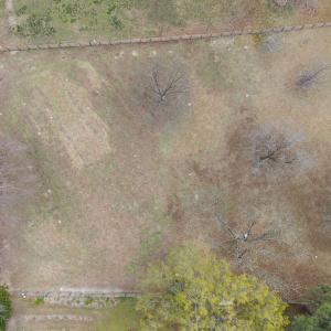 Mostly cleared with a few mature trees