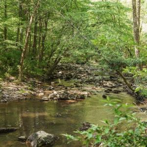 Dry Creek 2024-05-03 131219