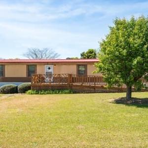 large-019d79c5-1bbc-7287-94ea-fbad381094