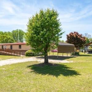 large-019d79c5-1d8f-713b-947b-9b3c785415