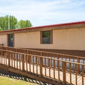 large-019d79c5-1e94-7280-b4e8-dd3da86c65