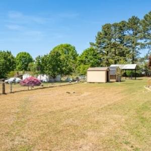 large-019d79c5-2a5a-7046-8fd6-1a4d00f634