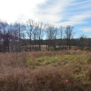 South view to adj development