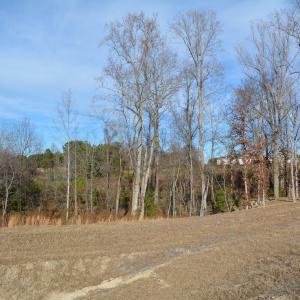 North View toward property from adjacent