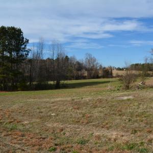 NW View to adj property.