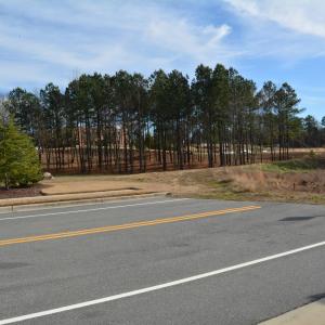 Thales Academy across street.