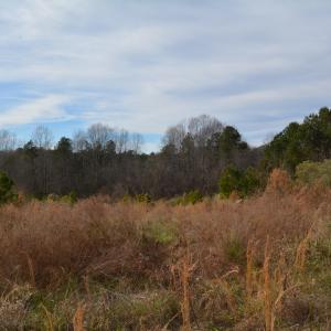 View from Front of Property