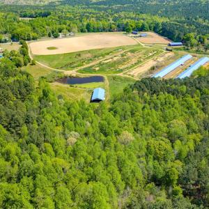 Drone - John Nordon-2