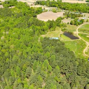 Drone - John Nordon-3