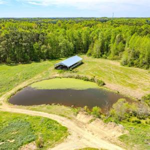 Drone - John Nordon-4