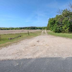 Ground Photos - Nordon-3