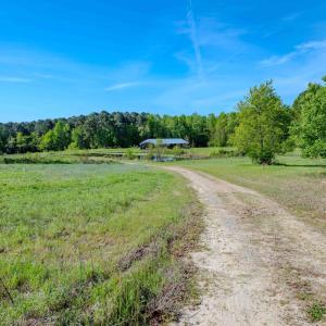 Ground Photos - Nordon-4