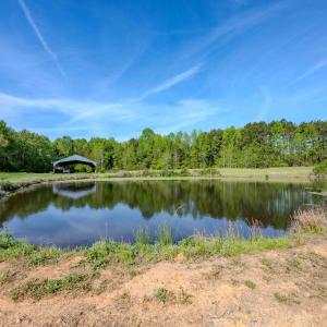 Ground Photos - Nordon-5