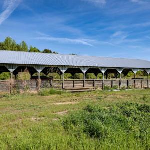 Ground Photos - Nordon-6