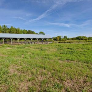 Ground Photos - Nordon-9