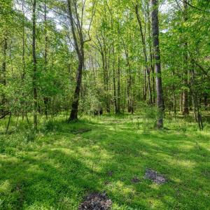 Ground Photos - Nordon-10