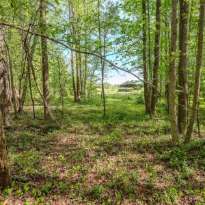 Ground Photos - Nordon-12