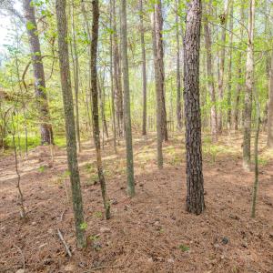 Ground Photos - Nordon-17