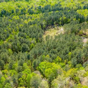 Drone - Taylor Jackson-2