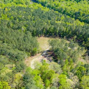 Drone - Taylor Jackson-3