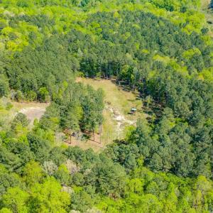 Drone - Taylor Jackson-4