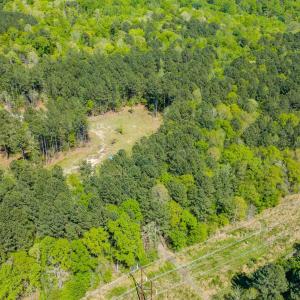 Drone - Taylor Jackson-5