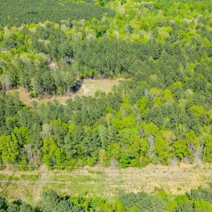 Drone - Taylor Jackson-6