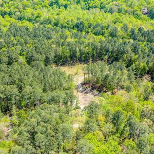 Drone - Taylor Jackson