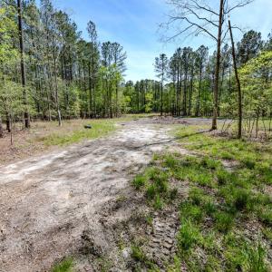 Ground Photos - Taylor Jackson-2