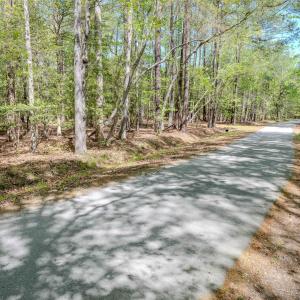 Ground Photos - Taylor Jackson-3