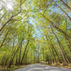 Ground Photos - Taylor Jackson-4