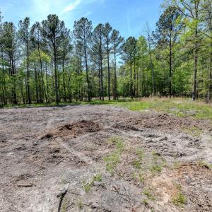 Ground Photos - Taylor Jackson-5