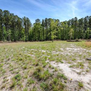 Ground Photos - Taylor Jackson-7